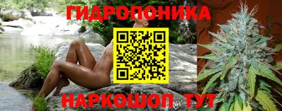 apvp Пенза