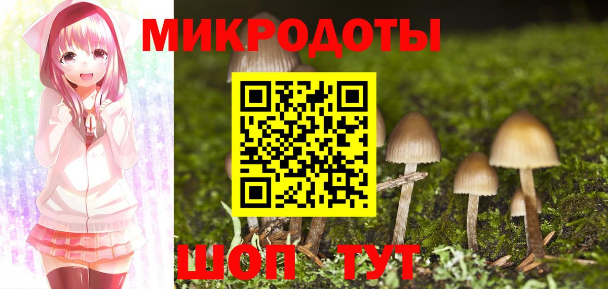 Галлюциногенные грибы мухоморы Сыктывкар