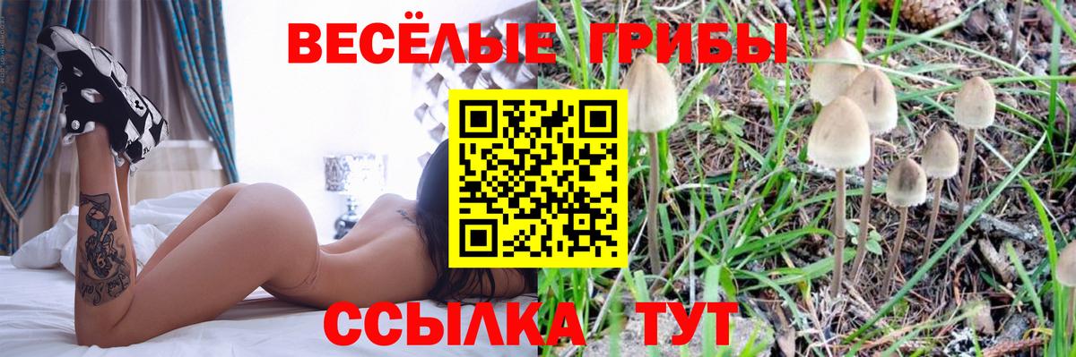Псилоцибиновые грибы Psilocybe  Вход с VPN  Галлюциногенные грибы Magic Shrooms  Сыктывкар 